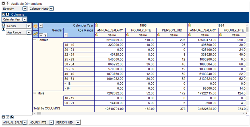 This image shows a sample OLAP Data Cube with rows containing genders and age ranges for each gender.